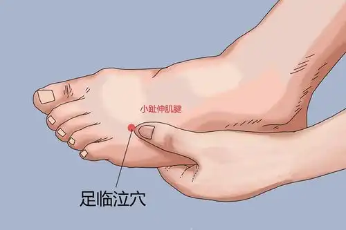 八脉交会的准确位置图和作用