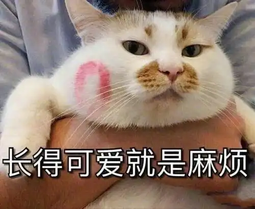 30条极致沙雕的自拍文案逛朋友圈累了吗停下来看看美女吧