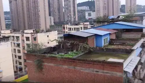 街头采访第4期你家楼顶有人种菜养鸡搭棚子,你会举报吗