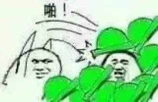 豆瓣影评今天的绿帽大佬,昨天的王宝钏
