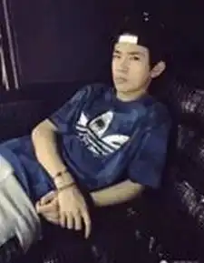 测试一个超长简介的文章