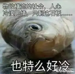 鱼眼中发出诡异的光浙江考生以后还能不能好好喝鱼汤啦