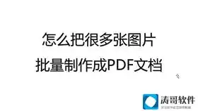 peco个人ins小视频集合