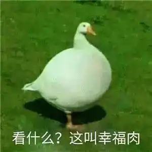 这肉一上场,米饭都刨光处暑多吃补血润燥
