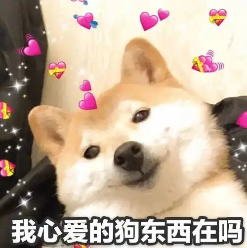 哔哩哔哩专栏