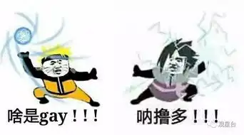 那些年,我们看过的不靠谱沙雕忍术资料