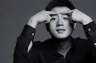 简直了陈思成顺利搭上娱乐圈出轨年的末班车
