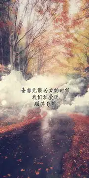 手写心灵鸡汤皮肤文字的无限魅力