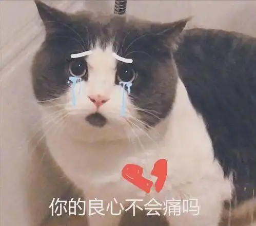 你被通缉了韶关一女子突然收到通缉令,结果