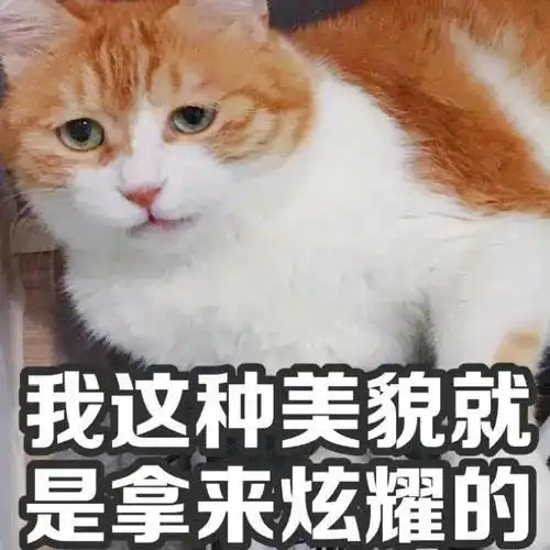 520官宣文案,甜蜜指数爆表