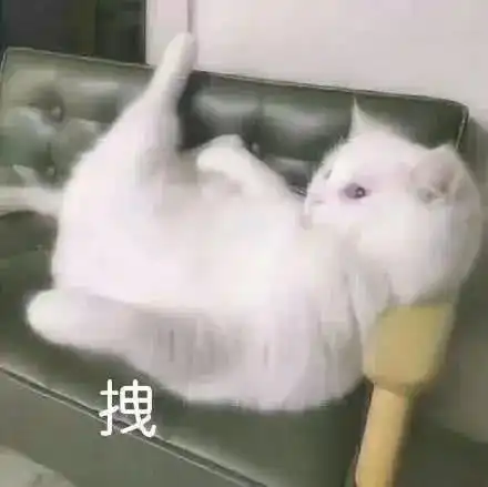 读书是件长久事,不止朝朝暮暮