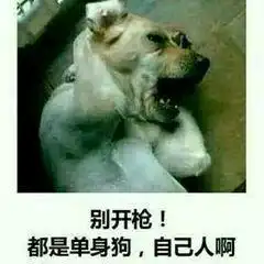 贱贱的沙雕表情包大家好,给大家介绍一下这是我女朋友