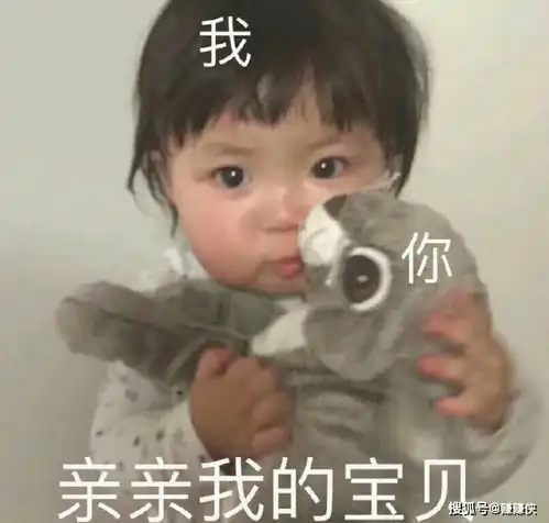 最新表情包图片没有撤退可言
