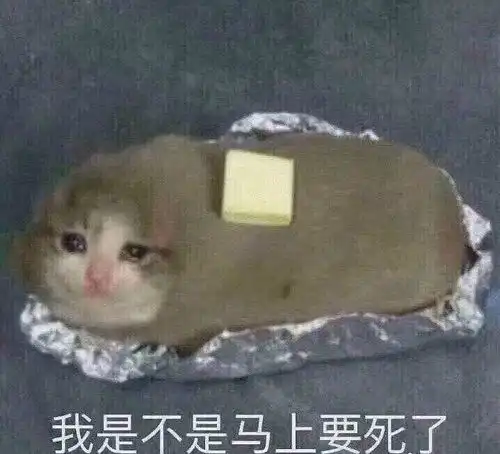 测试一个超长简介的文章