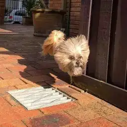 测试一个超长简介的文章
