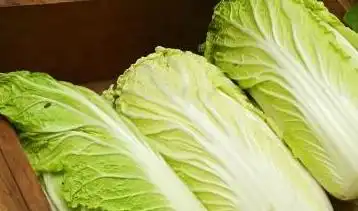 含有这3个特征的白菜,80使用了甲醛,搞活动也别买