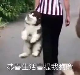 今天你室友逼你学习了嘛