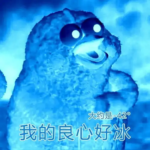 你们到底是来投简历还是来编段子的