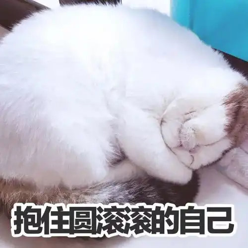 化妆新手入门必备之解放双手的化妆工具安利