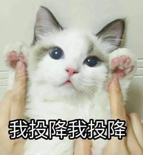 一白遮千丑,防晒要趁早