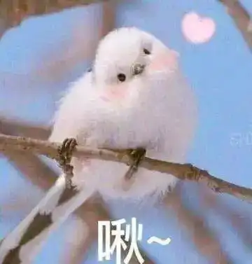 青年大学习网上主题团课第二季第八期来啦附天津团团第七期学习情况排名