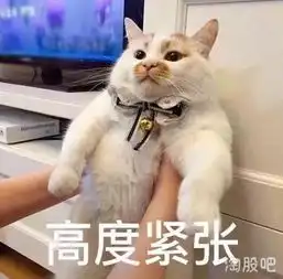 第一次见家长笑喷