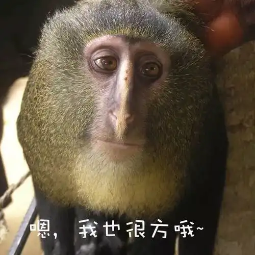 全程抖腿盘点那些年烂大街的动感舞曲第二期