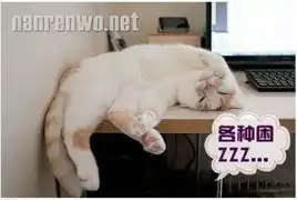 喵星人演绎上班族苦逼的一周