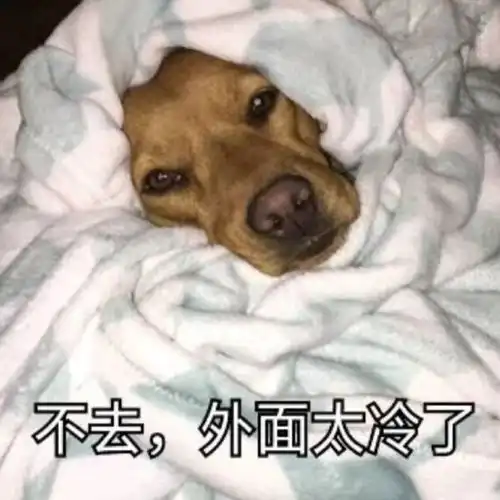 发到朋友圈爆火的沙雕小句子