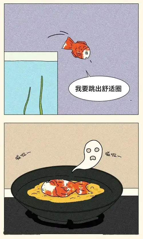 跳出舒适圈,是本世纪最大的毒鸡汤