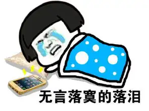 表情与斗图57被窝表情包5