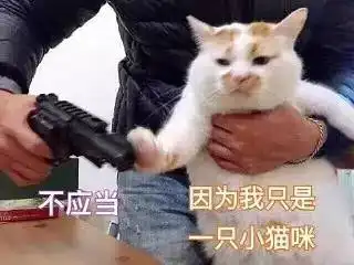 单身和母胎单身完全就是两个物种