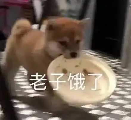 想看高岭之花求而不得