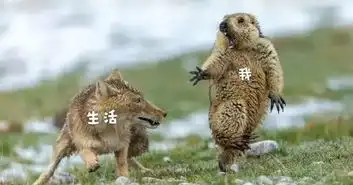 拿到国际大奖的这个中国摄影作品,被网友玩坏了笑哭表情