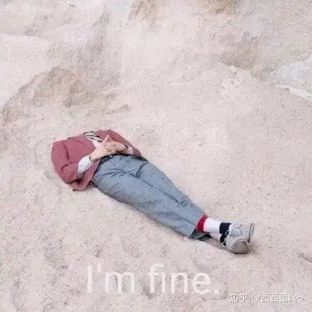 2019年出现了哪些好看的美剧或者电影