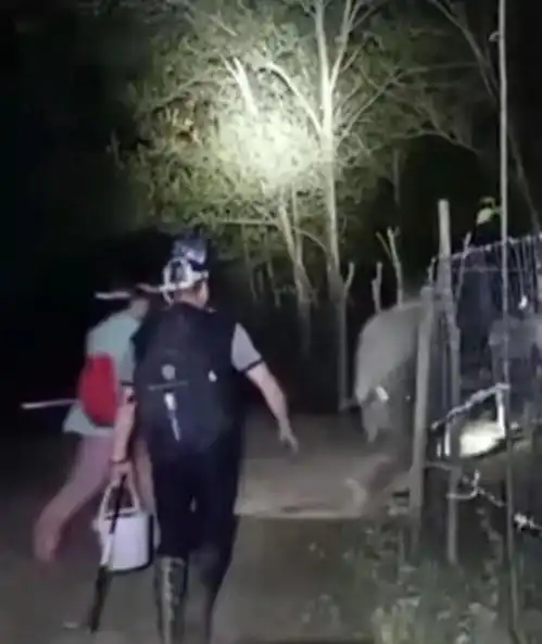 湖北上百人半夜冲进一片小树林,网友都懵圈了这是在干什么