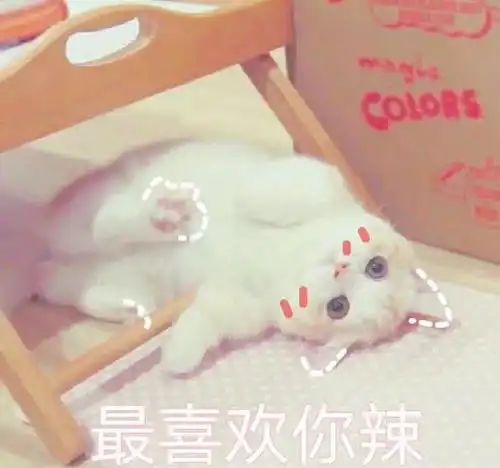 超萌猫咪表情包,网恋居家必备良品,走过路过千万不要错过哦