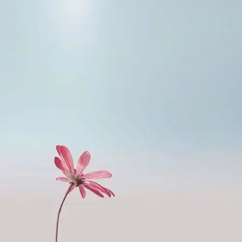 朋友圈最温暖的早安文案,选一句送给自己