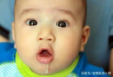 猫咪睡醒发现身下多了个蛋,以为是自己的孩子,那表情逗坏网友