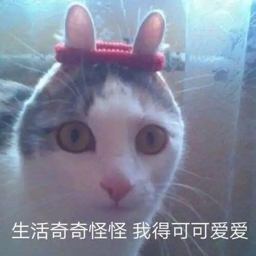 哈哈哈哈
