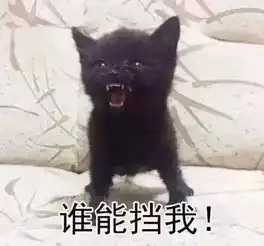 安徽一姑娘今天出嫁,闺蜜挂这样的横幅吓得新郎腿都软了