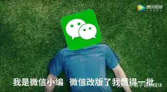 微信重大改版后,小编疯了号主傻了,用户一脸懵逼