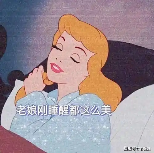 人间真实系列之x迪士尼公主搞笑沙雕表情包