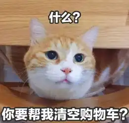 清空你的购物车,线下的优惠只有你想不到