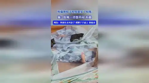 怕猫和蚊子咬特意安了蚊帐,猫蚊帐一点也不闷,有趣