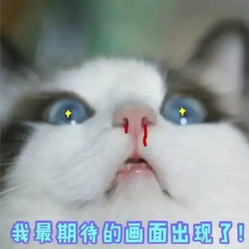 测试一个超长简介的文章