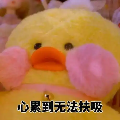 玛丽黛佳丨小蘑菇,暖心拯救干皮沙漠肌