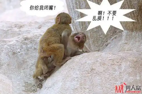 爆笑动物交配的超强搞笑图片