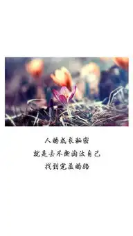 阳光正能量小清新句子文字图片