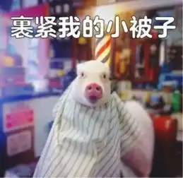 假冬天结束倒计时南京气温明日冲上20后,暴跌至